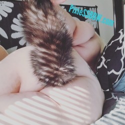 pixiestyxssbbw:  Love my fox tail!