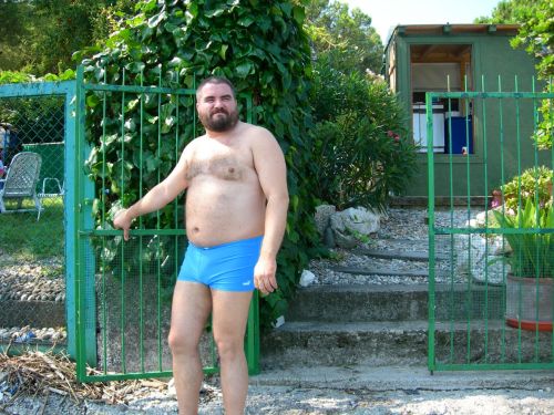 The Bear Standard 2.0