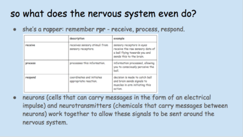 storm-study: A quick study guide of how the divisions of the nervous system are organised, and the s