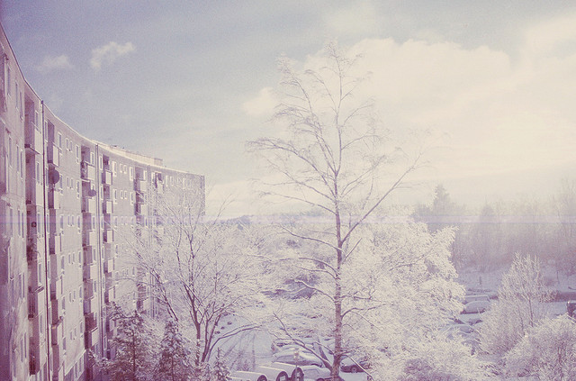 se17enteen:  untitled by heddaselder on Flickr. 