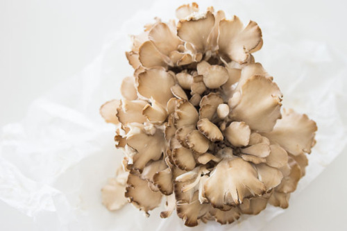 pbs-food:Roasted Hen of the Woods Recipe | PBS Food