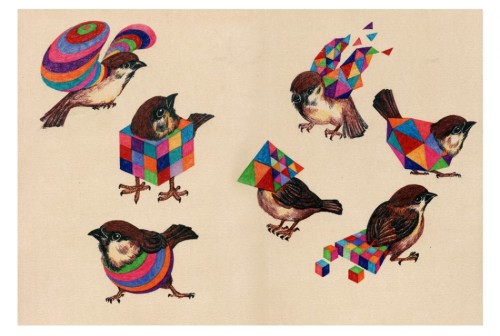 joylesseuphoria: redlipstickresurrected: Chai Mi aka Penny Chai aka 柴觅 (Chinese, b. 1985, Beijing, China) - Birds, 2013  Drawings  @hypnophilic 
