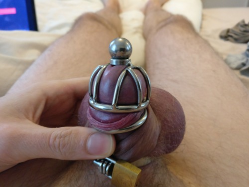 Chastity cages with urethral sound are the best. It’s like being permanently and deeply fucked
