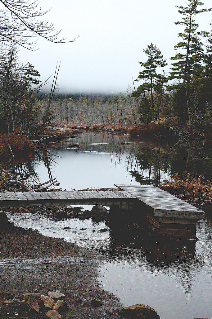 Photograph by Valerie Manne on flickr