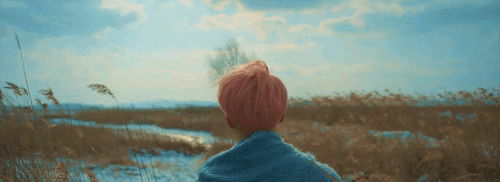 Spring Day, Jimin