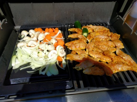 sungodprime:  I decided to do the food prep for the week on the new grill. Master joined me for some sun and beer.