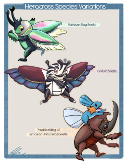 cricketcreates:  I wanted to do this too. : D Heracross Pokemon species variations! (That last one is based on this, of course)I’d like to do more of these if I have the time but I at least wanted to get Heracross done. : )  I saw that most people