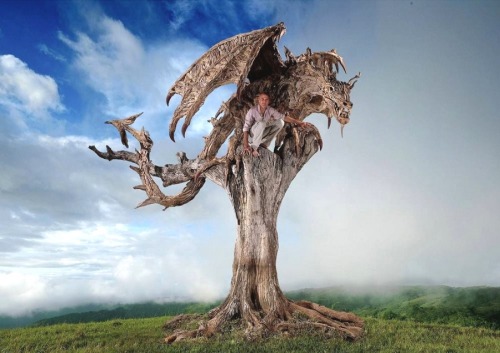 littlelimpstiff14u2: Giant Dragons Made Out Of  Driftwood By James Doran-Webb A wyvern is a fou