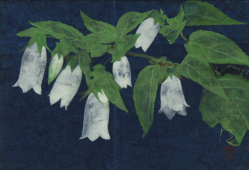 thunderstruck9:  Norihiko Oyamada (Japanese, b. 1946), Bellflower. Print, 15.8 × 22.7 cm. via inland-delta 