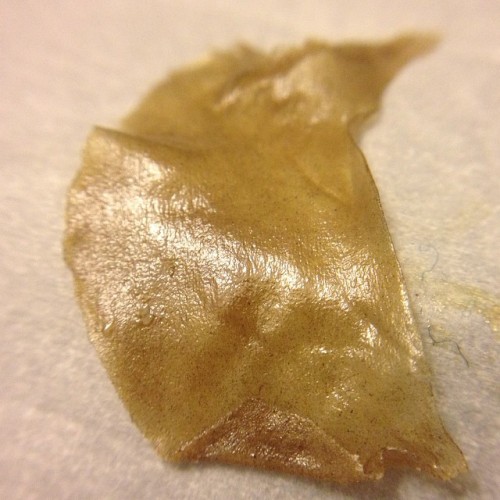 terpsincluded:  Gold Diesel #coldwater #icewax #waterandice #properlydriedhash #pressed #terpenesincluded #dab #420 #california #hash