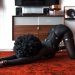 nextlevel209:blacklacerabbit:In Bondage 🖤⛓👌🏾👍🏾
