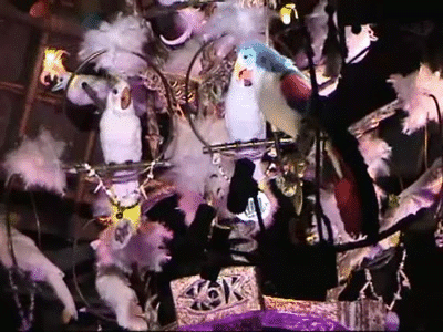 tumblr_mihu0vun4O1s5nzd6o1_400.gif