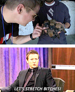 Get To Know Me Meme [3/5] Current Celebrity Crushes Jeremy Renner