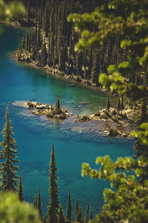 nordvarg:  Miller Lake, Canada