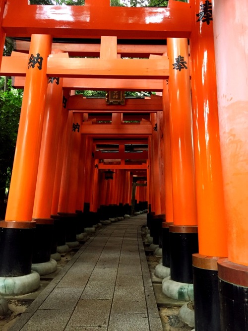 Fushimi Inari Taisha, Kyoto photos by Kobalt