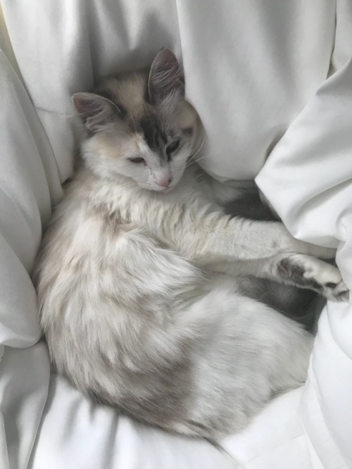 invisiblestarlight: my sleepy baby
