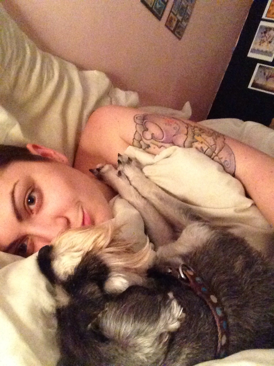 vieillelune:  puppies are so important.