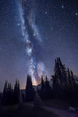 e4rthy:  Spires - Mount Rainier, Washington by Dave Morrow