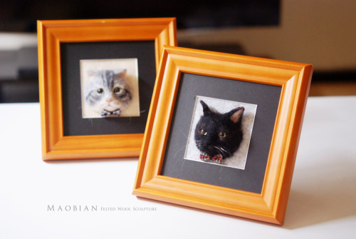  ▋Scottish Fold ( custom-made ) Pet Portrait  Frame is approximately 17 x 17 cm 