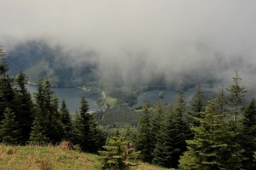 burningmine:Mount Washington, May 2018