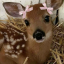 deerpearlyfemme
