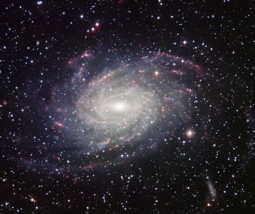 brightestofcentaurus:NGC 6744NGC 6744 is a spiral galaxy located about 30 million light years away t