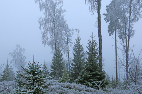 michaelnordeman:Värningsvikstorpshöjden, Värmland, Sweden. 