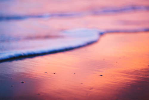 ne0nicecream:  The Colors of Carpinteria EtsyInstagram