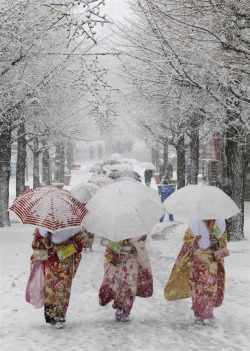 solangenoir:  Snow in Tokyo ~ photo Yuya