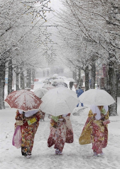 solangenoir: Snow in Tokyo ~ photo Yuya Shino / Reuters Japanese women in kimonos walk during h