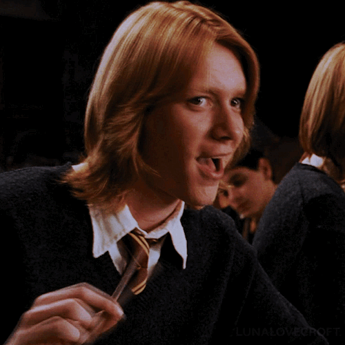 # FIRST LOVE, ㅤㅤ FRED WEASLEY