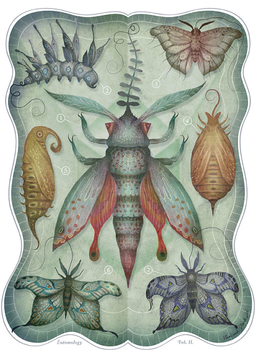 just-art:  vladmir stankovic 