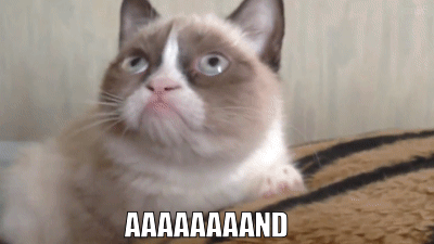 tumblr_nh7sqqT3j71qz9wlpo1_400.gif