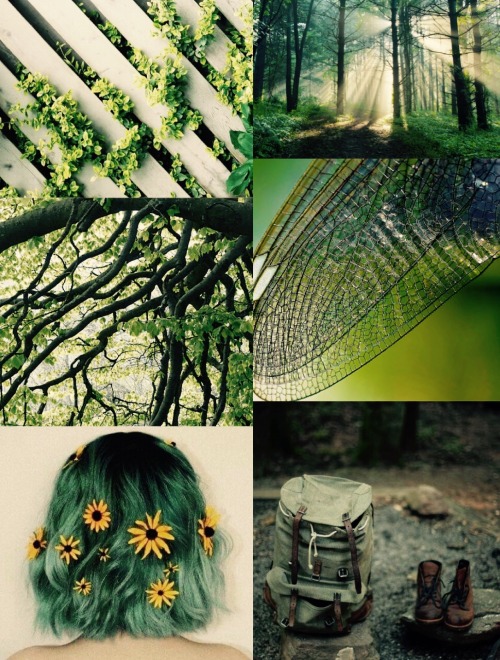 the-dreamers-almanac: ~~ Forest Fae Aesthetic for Anon ~~Requests are always open, luvs &lt;3