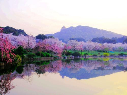 fuckyeahchinesegarden:磨山moshan, 东湖 donghu, wuhan, hubei province by YoungerDays_