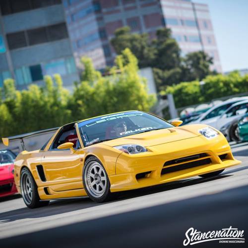 stancenation:  You know you love it.. | Photo by: @mascunanabear #stancenation