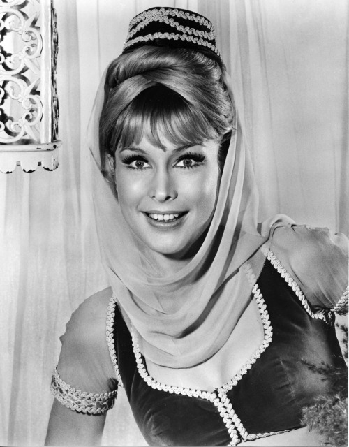 cheechmonger: Barbara Eden as the title character in “I Dream of Jeannie.”