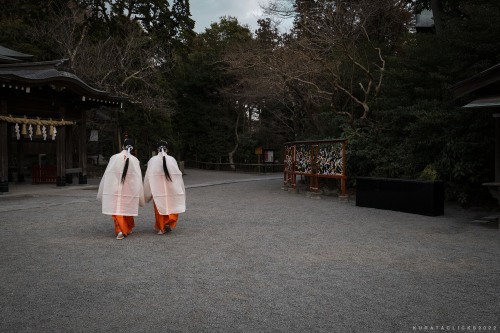 akihirokurata:鶴岡八幡宮にて｜Tsurugaoka shrine, Kamakura