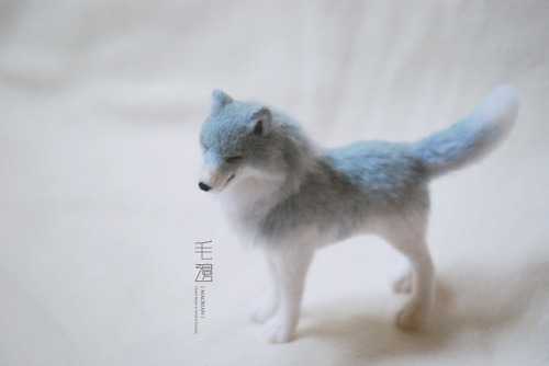 ▋Young Wolf ( special order, for a book cover design )Sculpture approximately 5 x 12 x 12 ( not incl