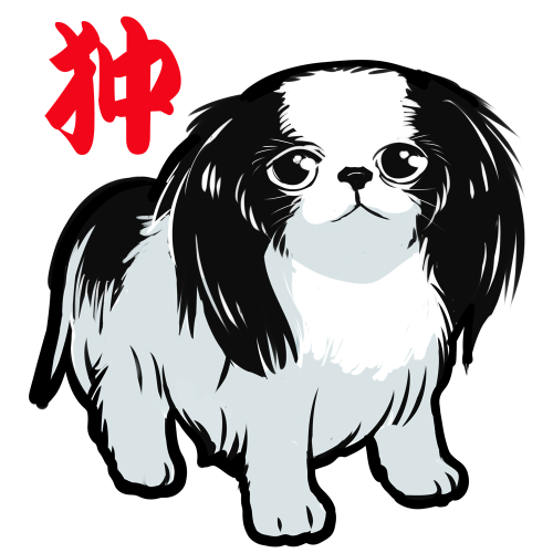  The Japanese Chin is my favorite dog. I often see it on Instagram. 