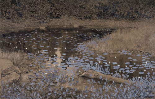 ekkolalia:“SkogstjernTil Jomfruland-serien, 1893″ byTheodor Kittelsen