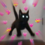 howlinghound11