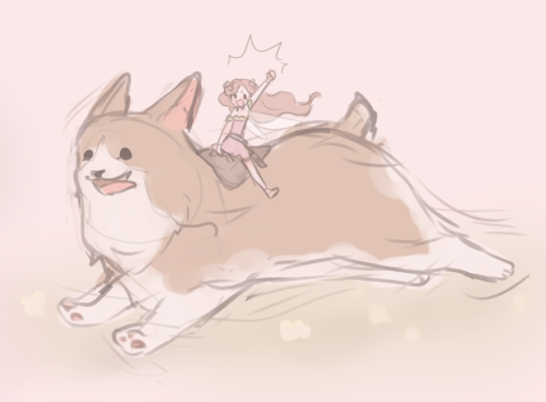 *for The Interactive Ask*