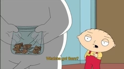 Bud makes me wiser.