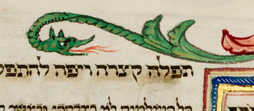 tzilahjewishcultureandhistory: Dragons!! Here are some examples of the dragons from the Medieval Rot