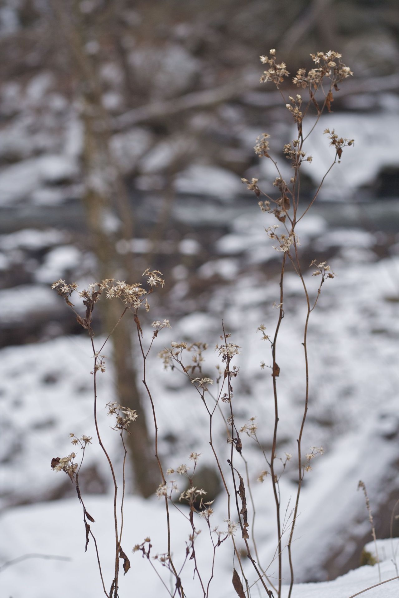 Simplicity. Love the days that we wander.  Photos by yours truly. 