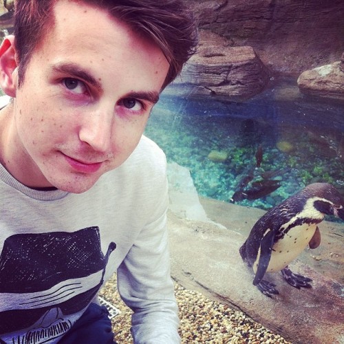 #penguin #selfie #longleat #lol #zoo #animals