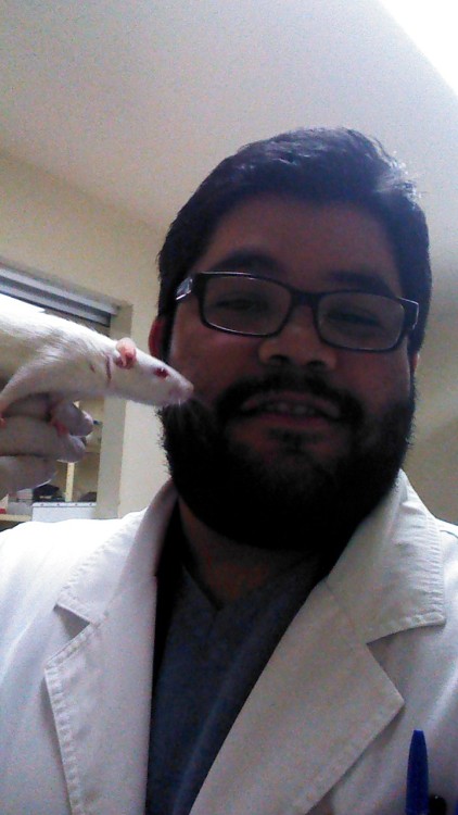 lecherodesoya:  Just changed to rats as experimental subjects. Mice were a lot cuter  but rats are really growing on me 