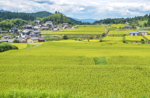 inefekt69 - Rural Japan - Kiso Valley