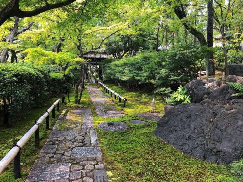 八勝館庭園 [ 愛知県名古屋市 ] Hasshokan Garden, Nagoya, Aichi の写真・記事を更新しました。 ーーこれぞ #庭屋一如 。建築家 #堀口捨己 の手掛けた昭和の日本を